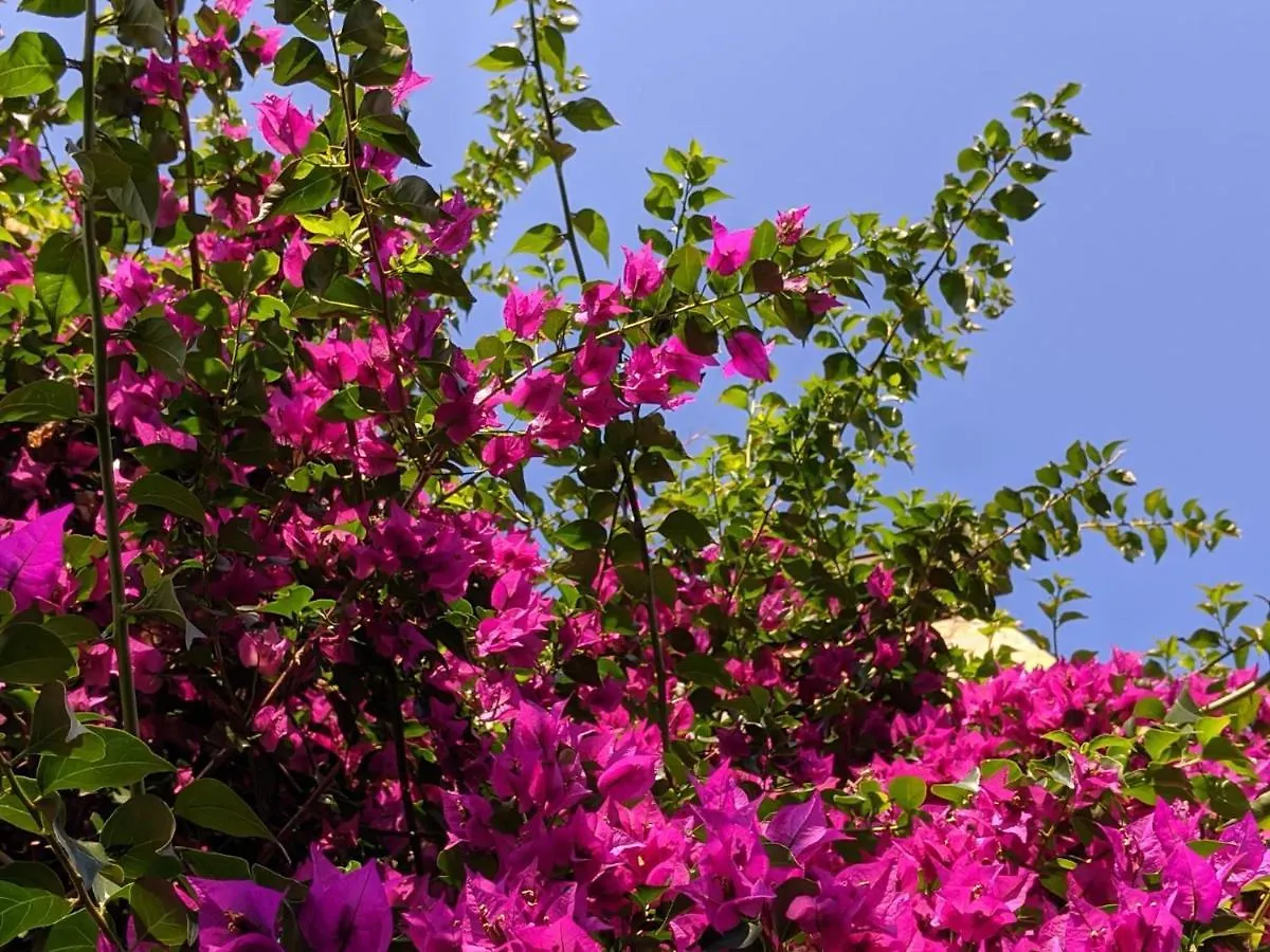 פיזה B&B Casa Marconi לינה וארוחת בוקר