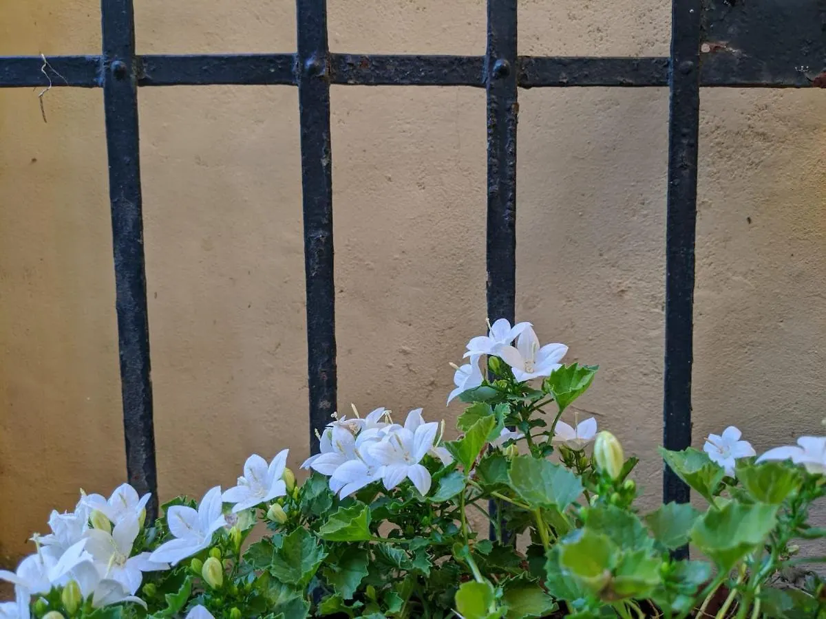 Bed & Breakfast B&B Casa Marconi Pisa
