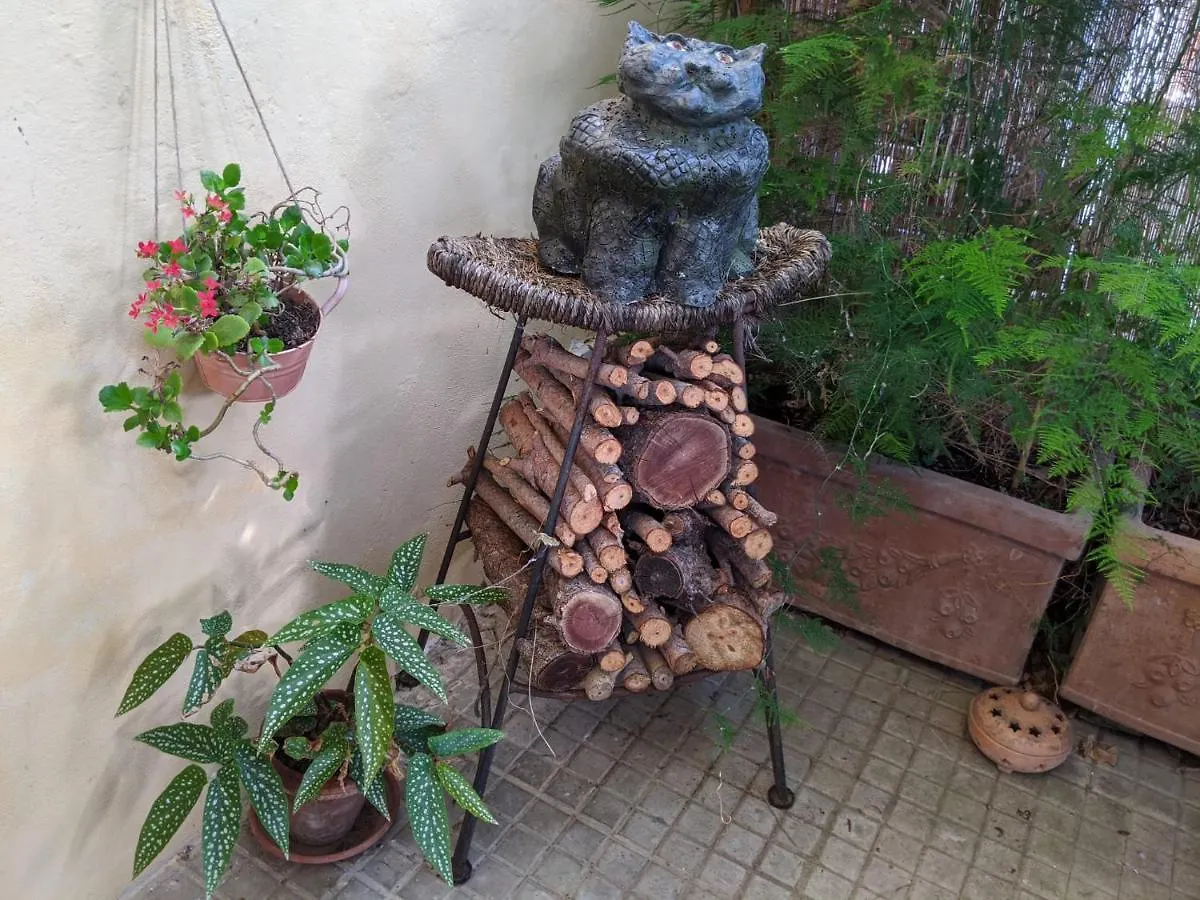 B&B Casa Marconi Pise Italie